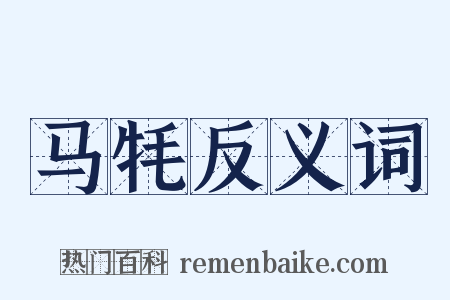 马牦反义词是什么意思的图片